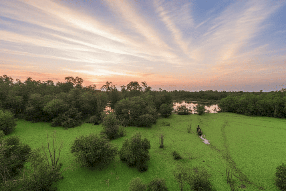 Cảnh sắc thiên nhiên kỳ thú tại Vườn Quốc gia Tràm Chim